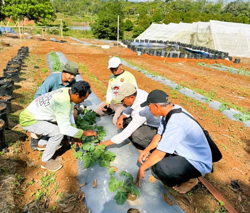 Kelompok Tani Jawara agro