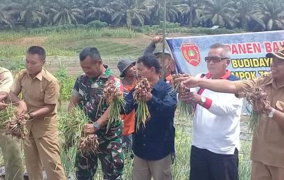 Nasional