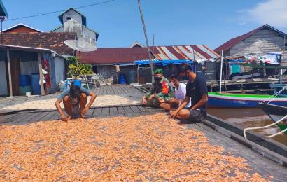 Nasional
