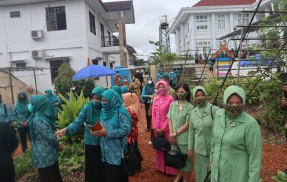 Nasional