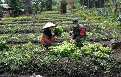 Nasional