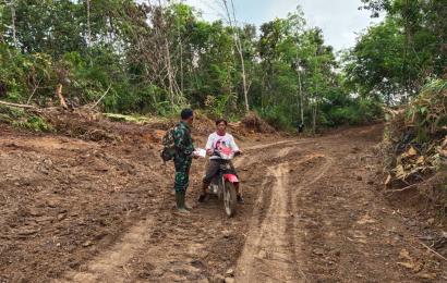 Nasional