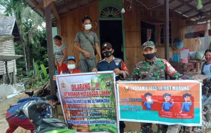 Nasional