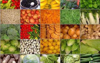Hortikultura Bengkulu