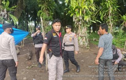 Lokasi Sabung Ayam