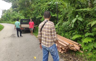 Ops Wanalaga II, Polres BS dan Polres Mukomuko Amankan Landak Serta Kayu Balam