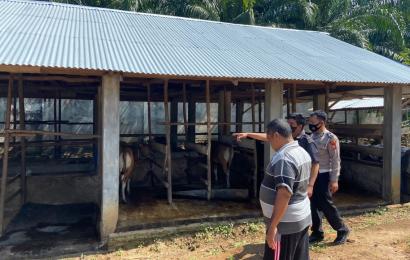 Polres Seluma Cek Kesehatan dan Kebersihan Hewan Ternak