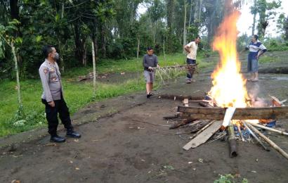Polsek Curup Bongkar dan Bakar Tempat Judi Sabung Ayam