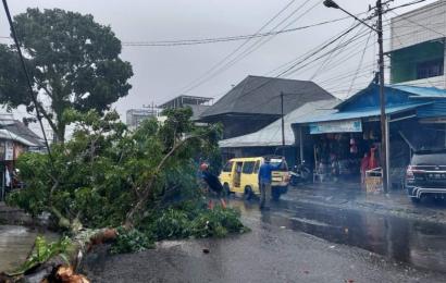 Akibat cuaca ekstrim menyebabkan pohon roboh
