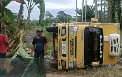Pecah Ban, Truk Bermuatan Udang Kelong Terbalik di Jalinbar Sumatera Bengkulu-Sumbar