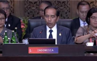  Presiden Joko Widodo