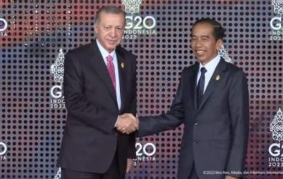 Presiden Turki Recep Tayyip Erdogan Bersama Presiden Jokowi