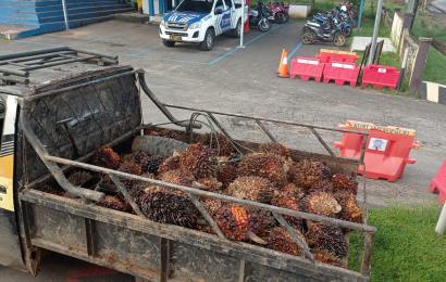 Satreskrim Polres Bengkulu Tengah Polda Bengkulu 