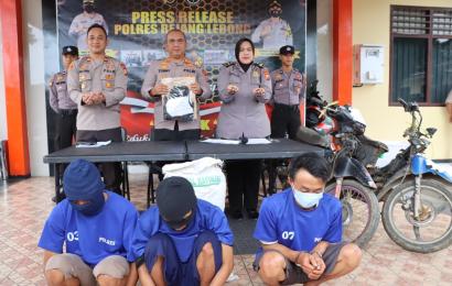 Hitungan Jam, Polsek Bermani Ulu Tangkap Pencuri Kopi di Kebun Warga 