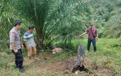 Bhabinkamtibmas  Cek Lokasi Pencurian Ternak Warga Desa Kembang Manis Bengkulu Utara