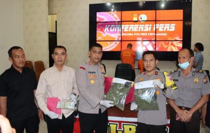 Polres Kepahiang Berhasil Amankan Pengedar Narkotika Jenis Ganja