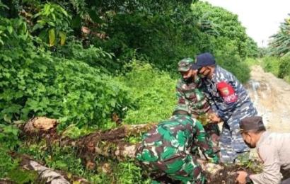Sigap, TNI-Polri Bersihkan Pohon Tumbang di Jalan Desa Kaana Kecamatan Enggano