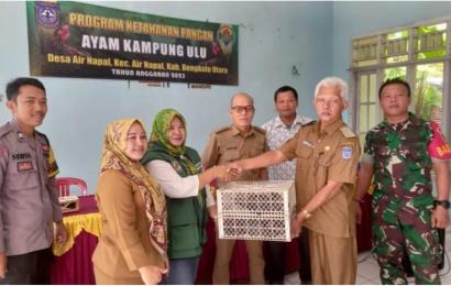 Wujudkan Ketahanan Pangan, Kades Air Napal Bagikan Bibit Ayam