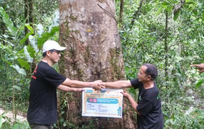 Bupati Bengkulu Utara Wajibkan OPD Asuh Pohon di Hutan Desa Lemo Nakai