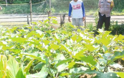 Polsek Kerkap Turun ke Lapangan dan Dukung Program Ketahanan Pangan