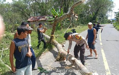 Bersama Warga Polsek Padang Ulak Tanding Bersihkan Ranting yang Menutupi Jalan 