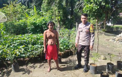 Dukung Ketahanan Pangan Nasional, Bhabinkamtibmas Polsek Putri Hijau Melaksanakan Sambangi dan Cek Tanaman Holtikultura Warga