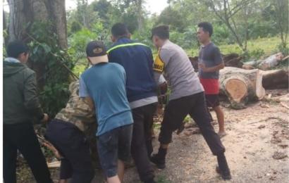 Bersama Warga, Personel Polsek PUT Gotong Royong Membersihkan Pohon Tumbang