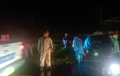 Polres Kepahiang Datangi TKP Pohon Tumbang dan Tiang Listrik Roboh