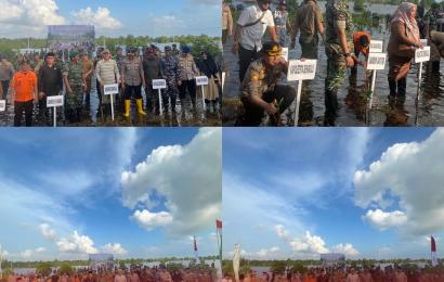 Kapolresta Bengkulu, Hadiri Kegiatan Puncak Penanaman Mangrove Nasional di Pelabuhan Sumber Jaya