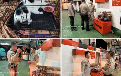 Personel Polsek KSKP Pulai Baai Lakukan Pendapingan Instansi Karantina Terhadap Penyelundupan Kucing