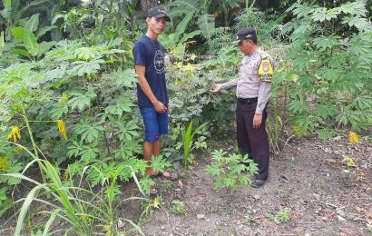 Polisi Sahabat Petani, Bhabinkamtibmas Polsek Enggano Sambang Warga Binaannya
