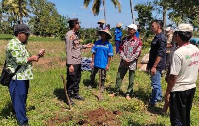 Kapolsek Padang Jaya Turun Ke Pinggiran Sawah, Pastikan Program Ketahanan Pangan Berjalan