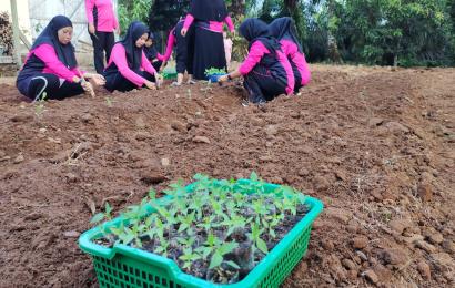 Pembina Bhayangkari Padang Jaya Dukung Program Ketahanan Pangan Nasional