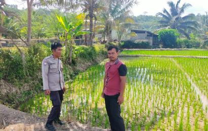 daerah