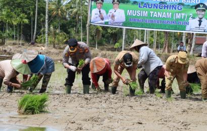 Kapolres dan Bupati Lebong Launching Tanam MT2 di Desa Magelang