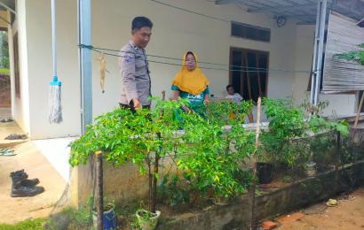 Dukung Ketahanan Pangan, Bhabinkamtibmas Sharing dengan Warga tentang Budidaya Cabe 
