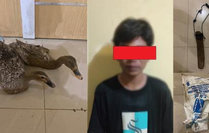 Polres Lebong Amankan Terduga Pelaku Pencurian