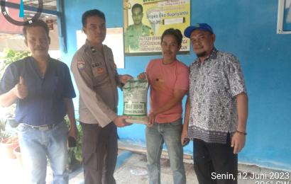 Sambang, Bhabinkamtibmas Monitoring dan Distribusikan Bibit Padi kepada Petani Secara Simbolis