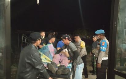 Pergi Merumput, Warga Batik Nau Ditemukan Tak Bernyawa