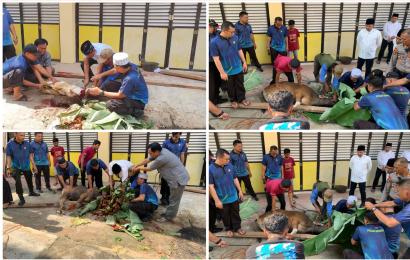 Laksanakan Qurban Presisi, Polresta Bengkulu Potong 3 Ekor Sapi dan 2 Ekor Kambing 