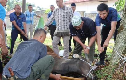 Peringati Hari Raya Idul Adha 1444 H, Polres Kepahiang Laksanakan Penyembelihan Hewan Kurban