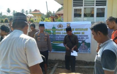Pemotongan Hewan Kurban Presisi Polsek Lubuk Pinang Perayaan Idul Adha 1444 H