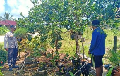 Dukung Ketahanan Pangan, Bhabinkamtibmas Sambangi Kebun Warga 