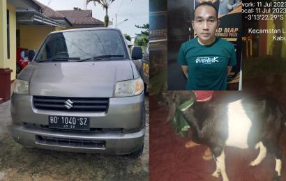Lebong - Pencuri hewan ternak asal Kabupaten Bengkulu Selatan, beraksi di Kabupaten Lebong. Adapun, terduga pelaku yang berhasil diamankan petugas kepolisian adalah seorang pria berinisial AAP (27), seorang buruh harian lepas warga Kelurahan Pagar Dewa Kecamatan Kota Manna Kabupaten Bengkulu Selatan.  Kapolres Lebong Polda Bengkulu AKBP Awilzan melalui Kapolsek Lebong Selatan Iptu Kuat Santoso mengatakan, terduga pelaku beraksi di kediaman korban Toko Ariwibowo (46), warga Kelurahan Tes Kecamatan Lebong Sel