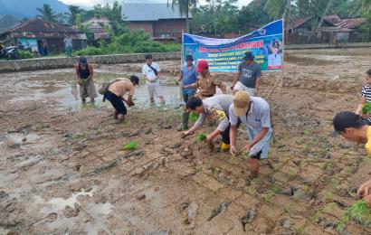 Bersama Warga, Bhabinkamtibmas Turut Menanam Padi di Lahan MT2