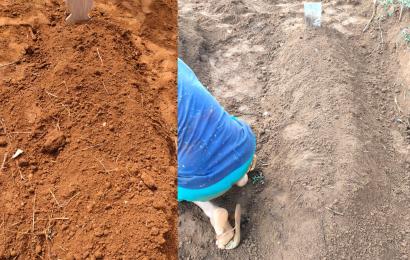 Ditemukan 2 Jenazah Diduga Korban Covid-19 di Lokasi Konstruksi Balai Kota Merah Putih