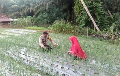 Polsek Giri Mulya 