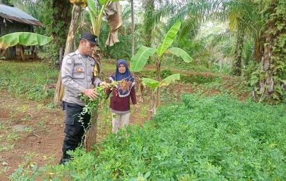 Bhabinkamtibmas Polsek Giri Mulya Sambangi Tanaman Pangan Lestari masyarakat di Desa Tanjung Anom