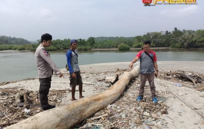 Polsek Pino Raya Olah TKP Penemuan Jenazah di Pantai