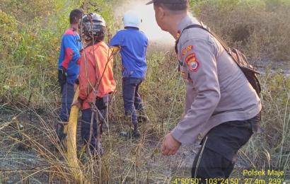 Terjadi Kebakaran Lahan di desa Linau, Kapolsek Maje Bersama Personel Turun Langsung Padamkan Kebakaran